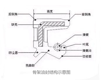 骨架油封結構示意圖