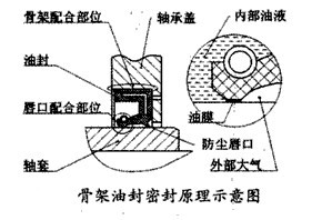 骨架油封密封原理示意圖